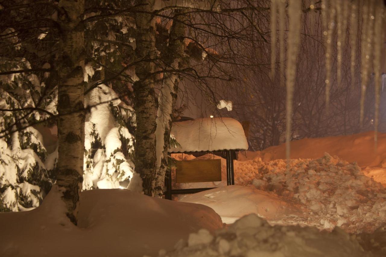 Villa Duric Superior Златибор Екстериор снимка